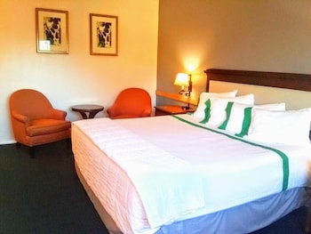 Premium Room, 1 King Bed, Non Smoking