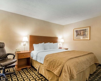 Standard Room, 1 King Bed, Non Smoking