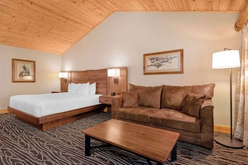 Standard Room, 1 King Bed, Non Smoking, Refrigerator & Microwave (Pet Friendly;with Sofabed)