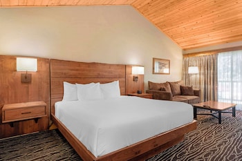 Standard Room, 1 King Bed, Non Smoking, Refrigerator & Microwave (Pet Friendly;with Sofabed)