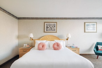 Room, 1 King Bed