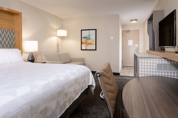 Standard Room, 1 King Bed with Sofa bed