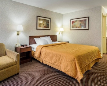 Room, 1 King Bed, Accessible, Non Smoking
