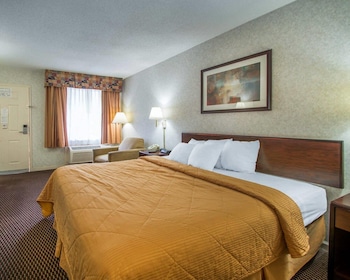 Standard Room, 1 King Bed, Non Smoking