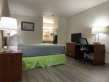 Standard Room, 1 King Bed, Non Smoking