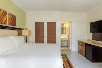Pool Garden View Room, Guest room