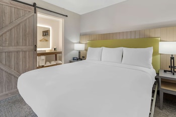 Suite, 1 Bedroom, Non Smoking