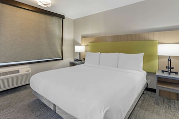 Room, 1 King Bed, Accessible, Non Smoking
