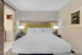 Suite, 1 Bedroom, Non Smoking