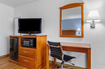 Standard Room, 1 King Bed, Non Smoking, Refrigerator & Microwave (with Sofabed)