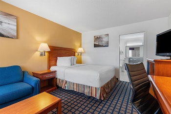 Standard Room, 1 Queen Bed, Accessible, Refrigerator & Microwave (with Single Sofabed)