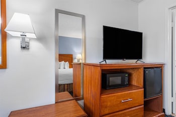 Standard Room, 1 Queen Bed, Accessible, Refrigerator & Microwave (with Single Sofabed)