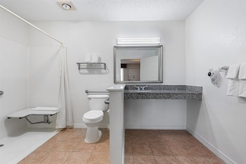 Standard Room, 1 Queen Bed, Accessible, Refrigerator & Microwave (with Single Sofabed)