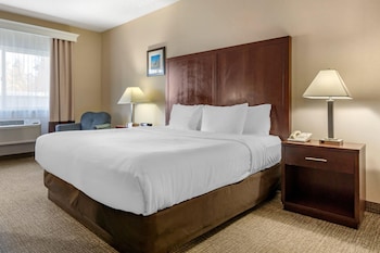 Room, 1 King Bed, Accessible, Non Smoking
