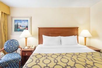 Room, 1 King Bed, Non Smoking