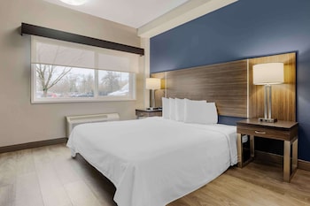 Standard Studio, 1 King Bed, Non Smoking, Refrigerator & Microwave
