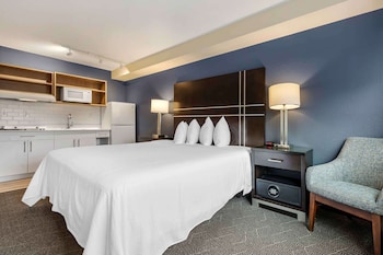 Standard Studio, 1 Queen Bed, Roll-in Shower, Non Smoking