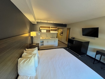 Standard Studio, 1 King Bed, Non Smoking, Refrigerator & Microwave