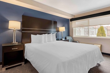Standard Studio, 1 Queen Bed, Roll-in Shower, Non Smoking