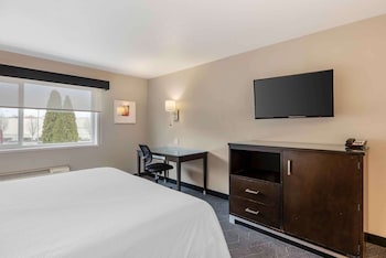 Standard Studio, 1 Queen Bed, Roll-in Shower, Non Smoking