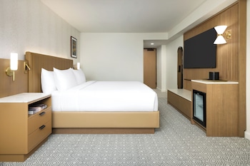 Room, 1 King Bed, Roll-in Shower