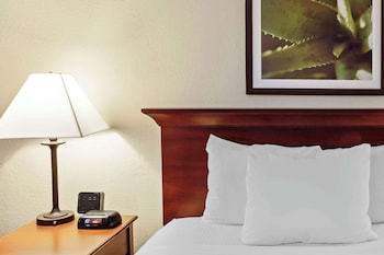 Suite, 1 Queen Bed