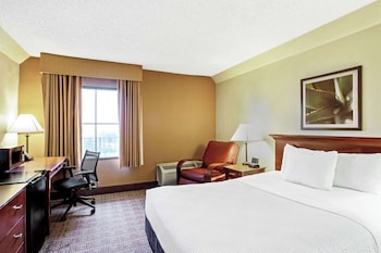 Suite, 1 Queen Bed