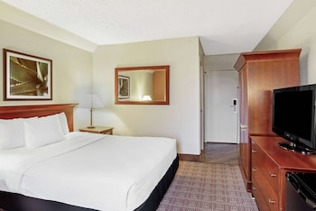 Suite, 1 Queen Bed