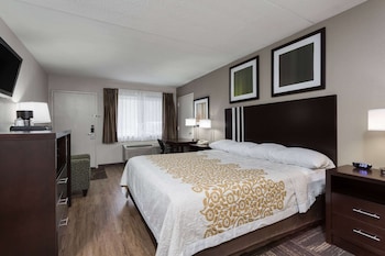 Room, 1 King Bed, Accessible, Non Smoking (Mobility Accessible)
