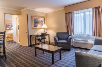 Suite, 1 King Bed, Non Smoking, Refrigerator & Microwave (with Sofabed)