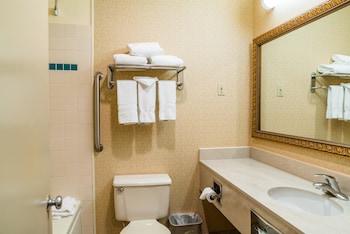 Suite, 1 King Bed, Non Smoking, Jetted Tub (with Sofabed)