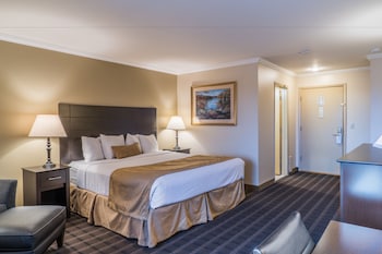 Suite, 1 King Bed, Non Smoking, Refrigerator & Microwave (with Sofabed)