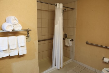 Accessible King, Roll-in Shower