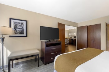 Suite, 1 King Bed, Refrigerator & Microwave, Golf View (Living Room)