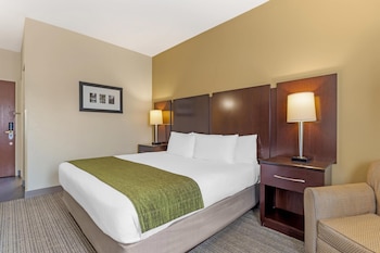 Standard Room, 1 King Bed, Non Smoking, Refrigerator