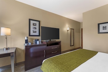 Standard Room, 1 King Bed, Non Smoking, Refrigerator
