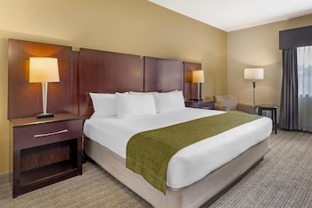 Standard Room, 1 King Bed, Non Smoking, Refrigerator