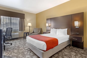 Standard Room, 1 Queen Bed, Non Smoking, Refrigerator
