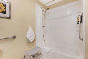 Standard Room, 1 Queen Bed, Accessible, Bathtub