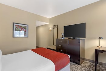 Standard Room, 1 Queen Bed, Non Smoking, Refrigerator
