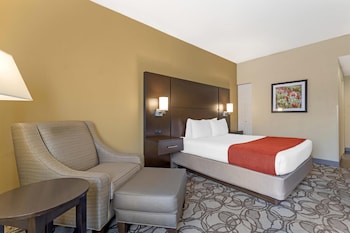 Standard Room, 1 Queen Bed, Non Smoking, Refrigerator