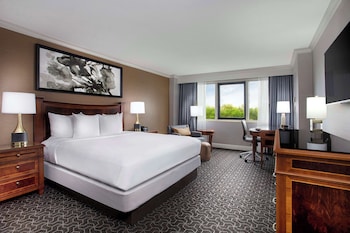 Suite, 1 King Bed