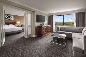 Suite, 1 King Bed