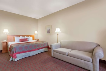 Room, 1 King Bed, Non Smoking