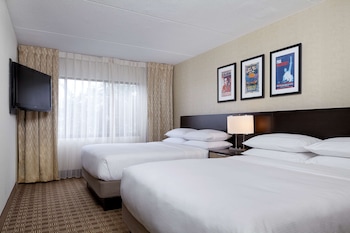 Deluxe Suite, Multiple Beds