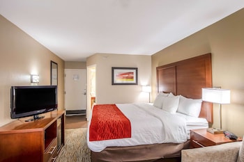 1 King Bed, Nonsmoking, Upgrade