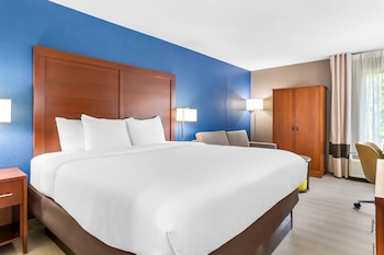 1 King Bed, Nonsmoking, Upgrade