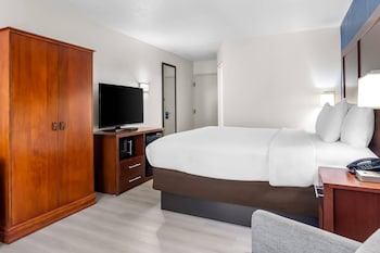 Standard Room, 1 King Bed, Non Smoking