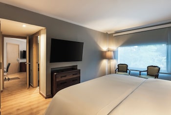 Junior Room, 1 Queen Bed