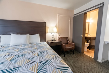 Standard Room, 1 King Bed, Non Smoking